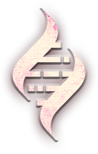 Identity Transformation